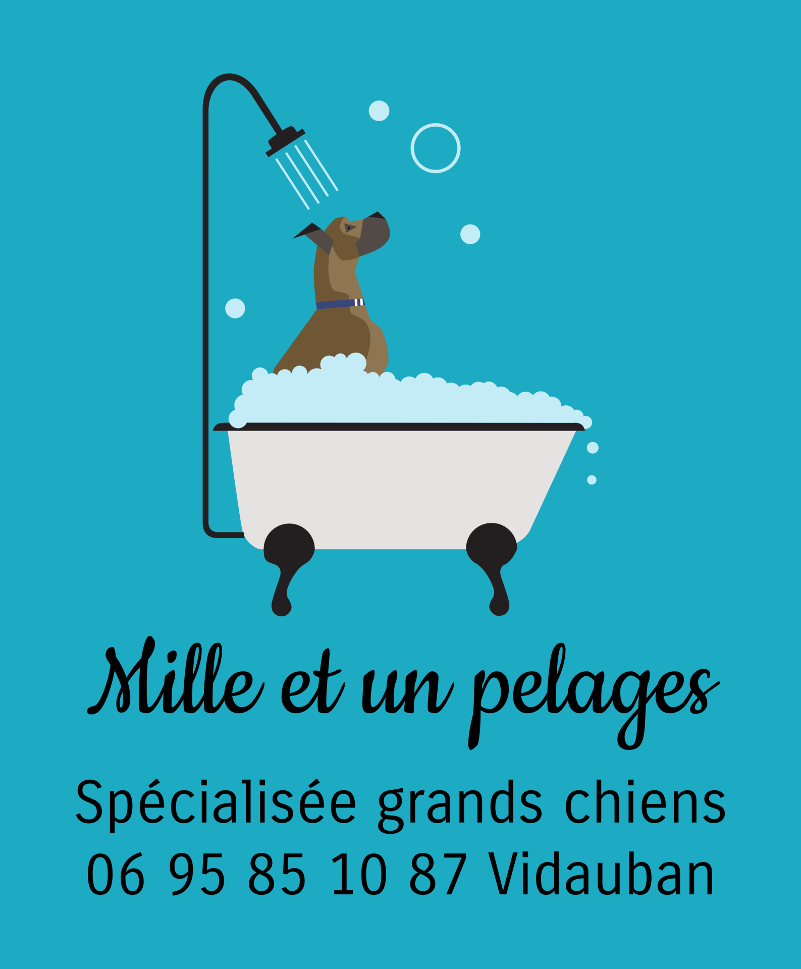 Mille et un pelages